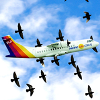 People to benefit from cheap fares